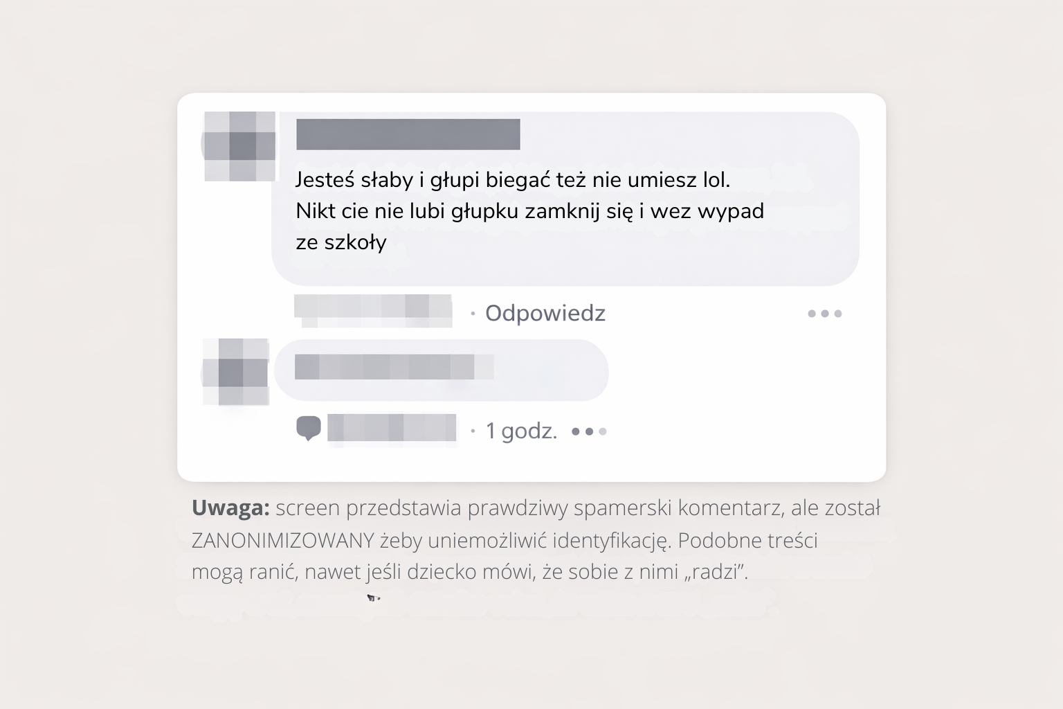 Przykład obraźliwego komentarza na Facebooku lub Instagramie (zanonimizowany)